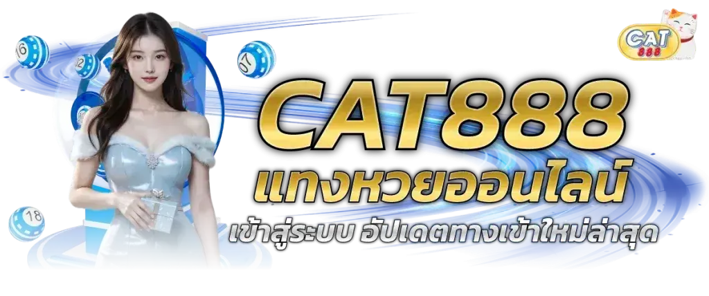 cat888